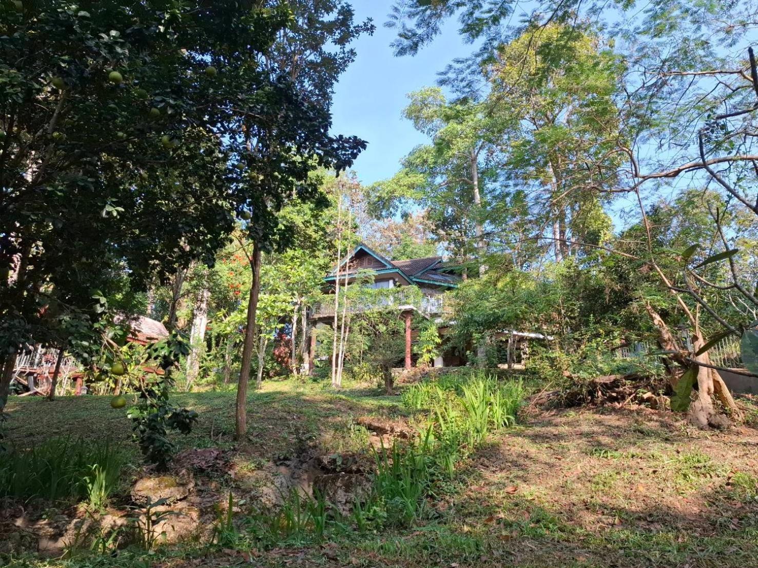 Balmy Hideout Cafe & Homestay Ban Huai Kaeo Exterior photo
