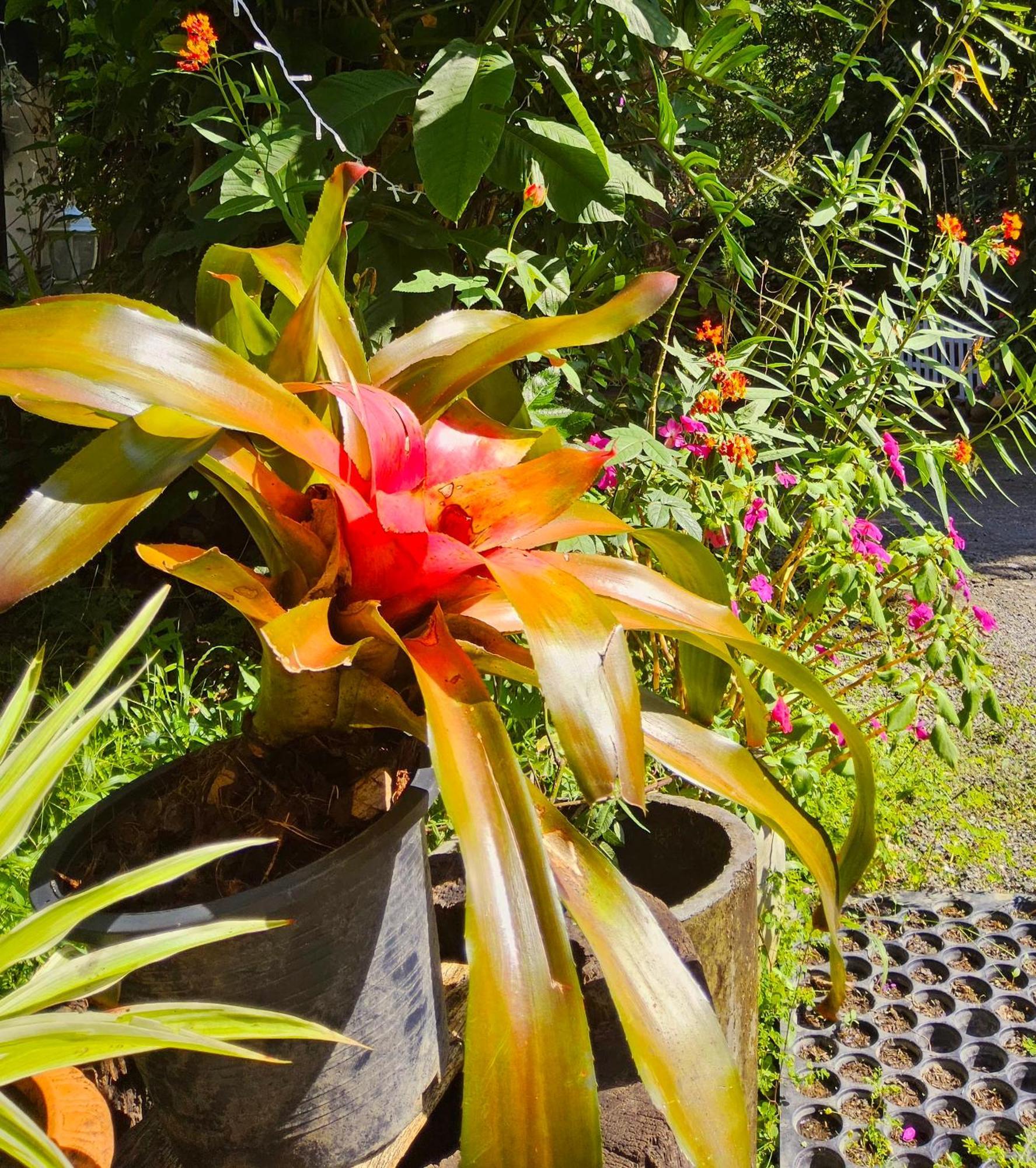 Balmy Hideout Cafe & Homestay Ban Huai Kaeo Exterior photo